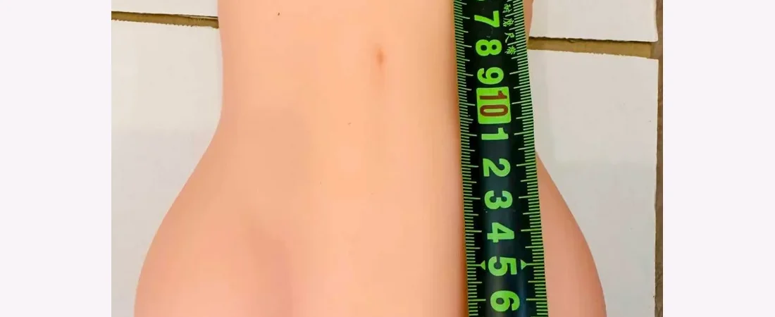 No. 8 Torso Series
