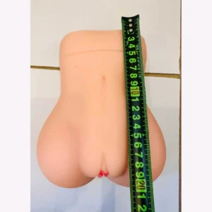 No. 8 torso series product photo